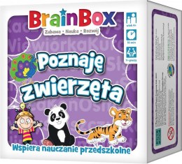 Gra BrainBox - Poznaję zwierzęta Rebel