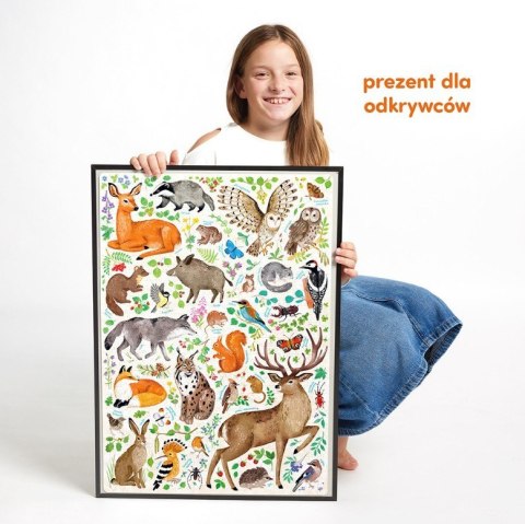 Puzzle odkrywcy - Dzika przyroda 300 elementów CzuCzu
