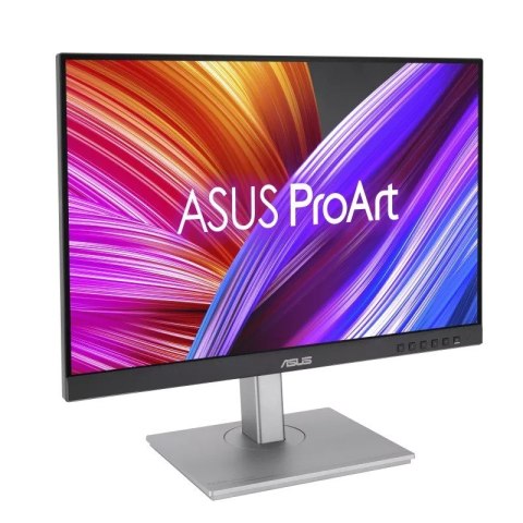 Monitor 24 cale PA248CNV Asus