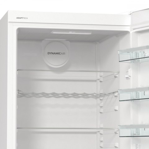 Chłodziarka R619EAW6 Gorenje