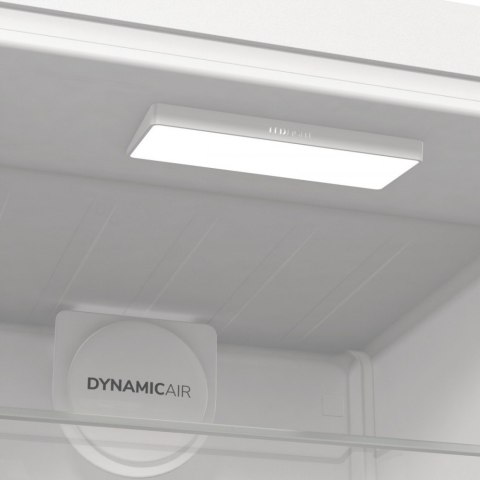 Chłodziarka R619EAW6 Gorenje