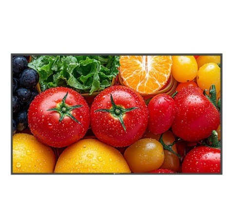 Monitor wielkoformatowy QM-5503 CZARNY 500cd/m2 5000:1 24/7 4K AG NEOVO