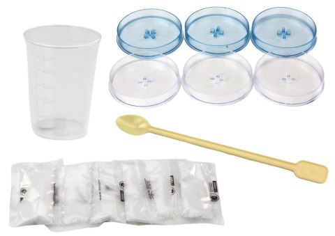 Zestaw Edukacyjny Kreatywny Do Hodowli Drzewek Krystalicznych LEAN Toys