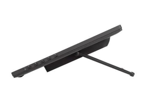 Monitor dotykowy 24 cale T2455MSC-B1 POJ.10PKT.IPS,HDMI,DP,USB3.0,CAM,MIC IIYAMA