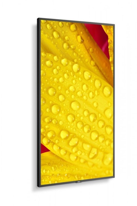 Monitor wielkoformatowy MultiSync M651-2 65 cali UHD 500cd/m2 24/7 NEC