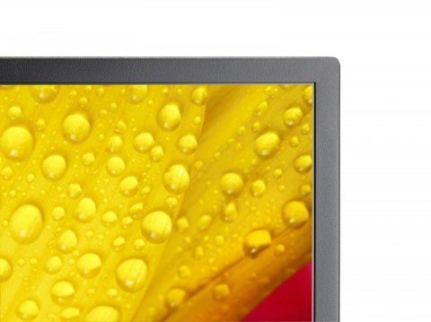 Monitor wielkoformatowy MultiSync M651-2 65 cali UHD 500cd/m2 24/7 NEC