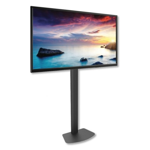 Stojak podłogowy 32-55 cali 40kg przykręcany Techly