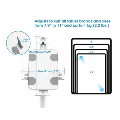 Stojak podłogowy do iPad i tablet 9,7-10,1 cali z ramką i blokadą Techly