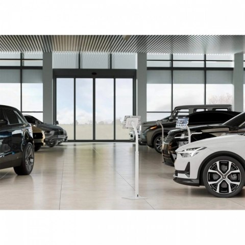 Stojak podłogowy do iPad i tablet 9,7-10,1 cali z ramką i blokadą Techly