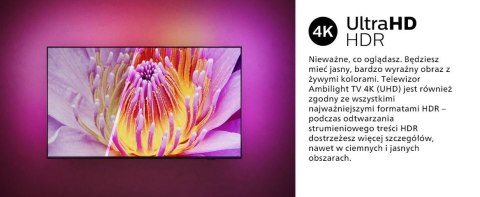 Telewizor LED 50 cali 50PUS8919/12 Philips