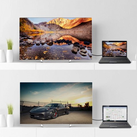 Kabel DisplayPort M/M, 3,0m; Y-C609BK Unitek