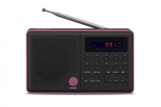 Radio Pliszka USB, FM czarne Eltra