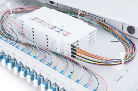 Przełącznica światłowodowa/panel krosowy z wyposażeniem 19 cali 1U, 24x LC duplex, OS2, zawiera pigtaile, adaptery, tacki, wysuw Digitus
