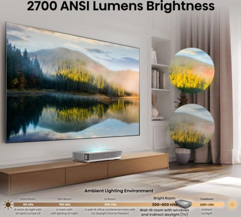 Telewizor Laser TV 100 cali 100L5ND Hisense